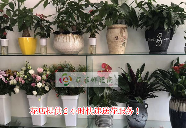 上饶玉山县花店提供上饶玉山县2小时快速送花服务