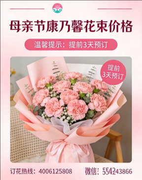 上饶玉山县花店母亲节康乃馨花束