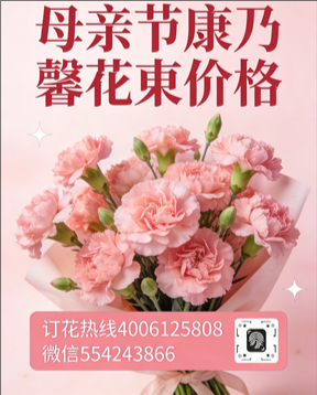 上饶玉山县花店母亲节康乃馨花束